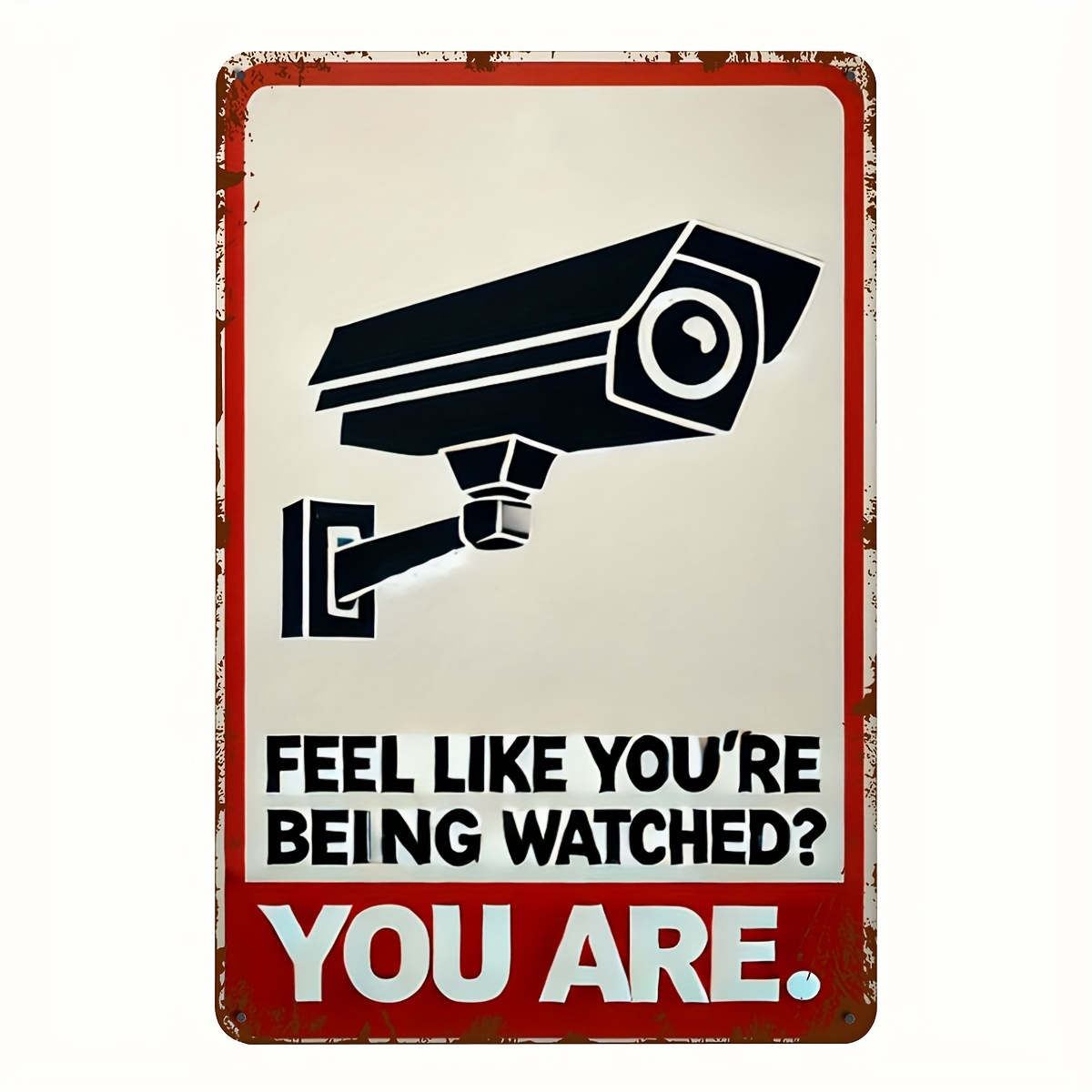 Funny Security Camera Warning  - Home Security Panel review and price