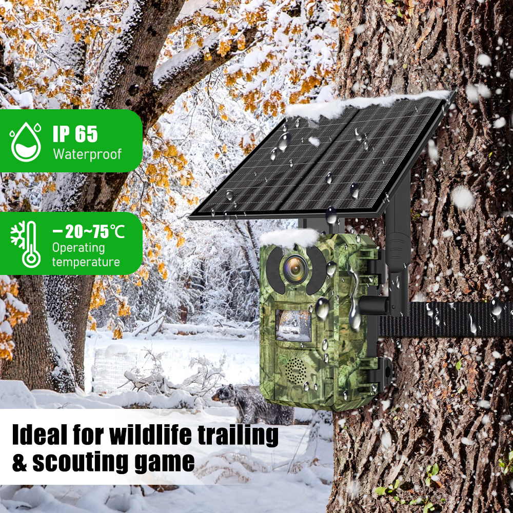 EU Band 4G Cellular LTE Live V - Home Security Game review and price