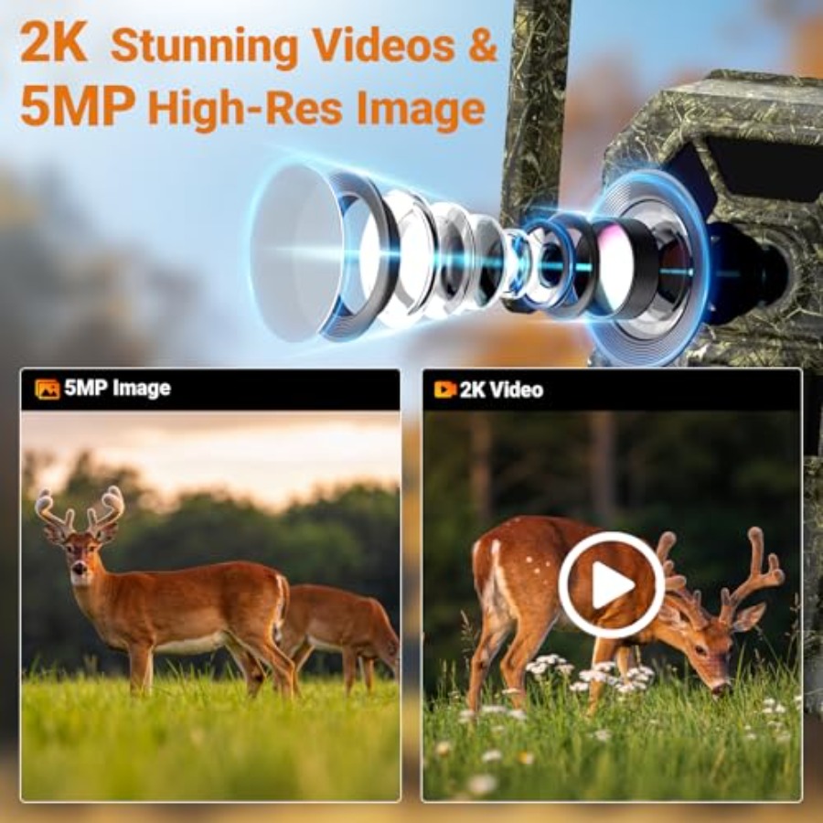 Wildlife monitoring and home s - Home Security Video review and price